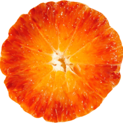 arancia-tarocco