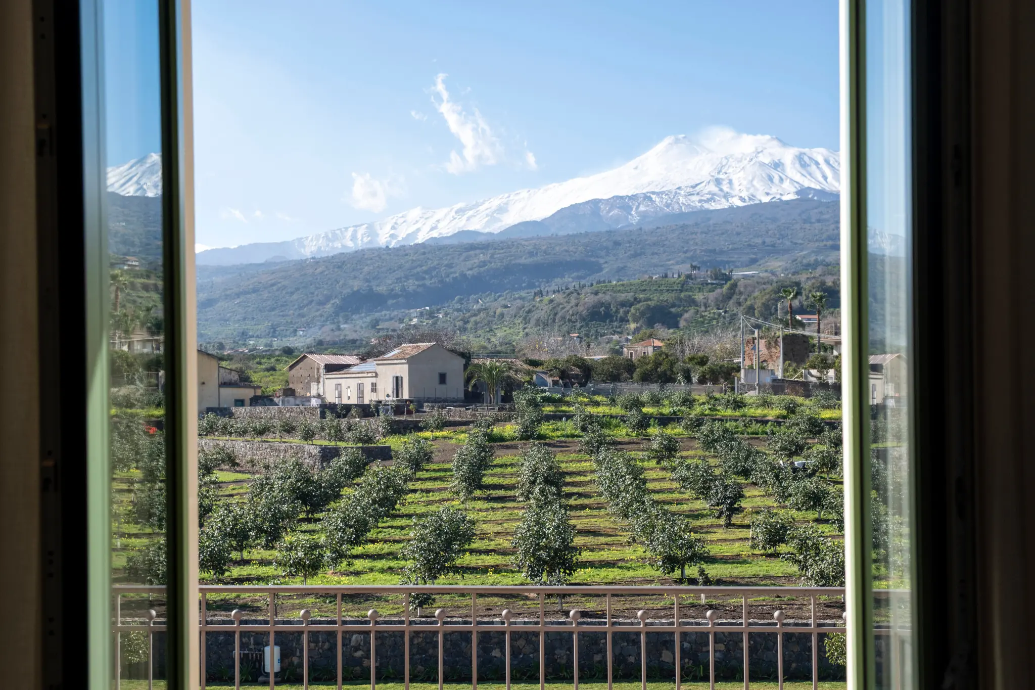 Vista sull’Etna e sugli avocado dalla villa